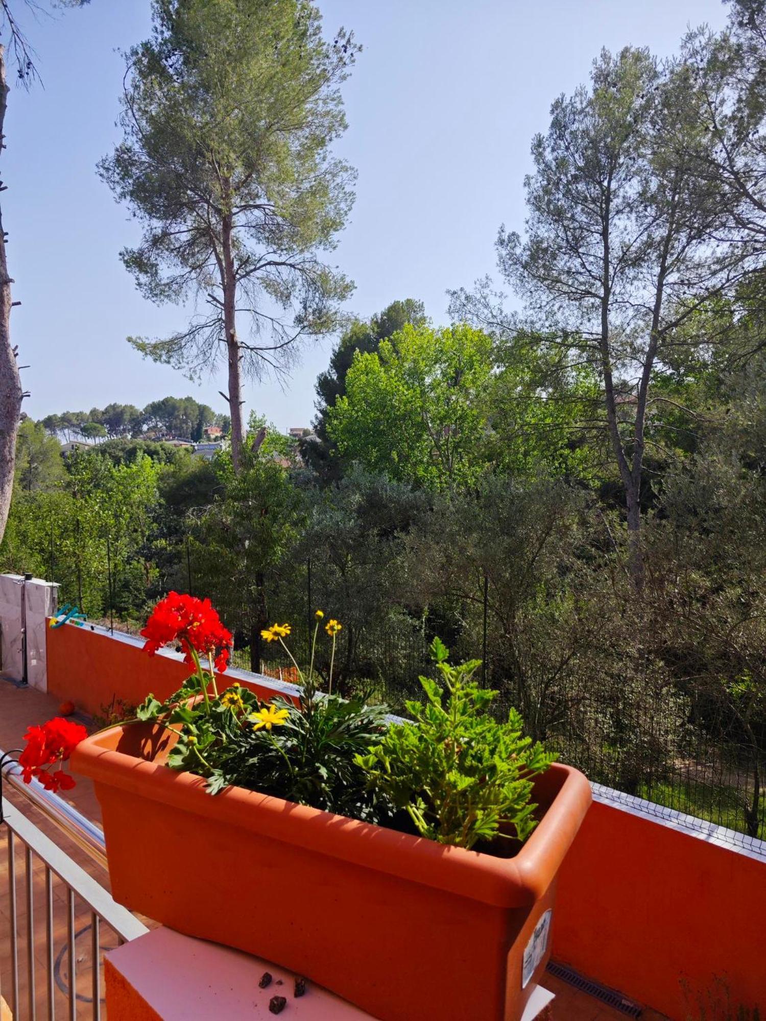 Villa Relax House Barcelone Sant Esteve Sesrovires Esterno foto